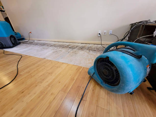 Professional Structural Drying technician working in Continental, OH